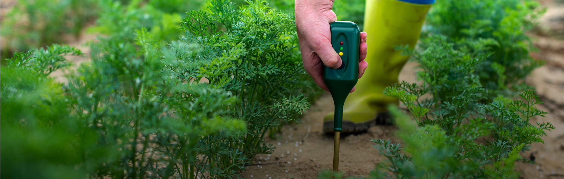Plant Care Tools - De webwinkel voor al uw meetinstrumenten voor een gezonde tuin