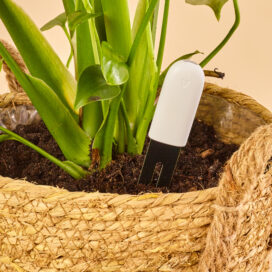 Bluetooth planten monitor - Plant Care Tools