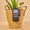 Digital soil thermometer - Digitale Grondthermometer - Plant Care Tools