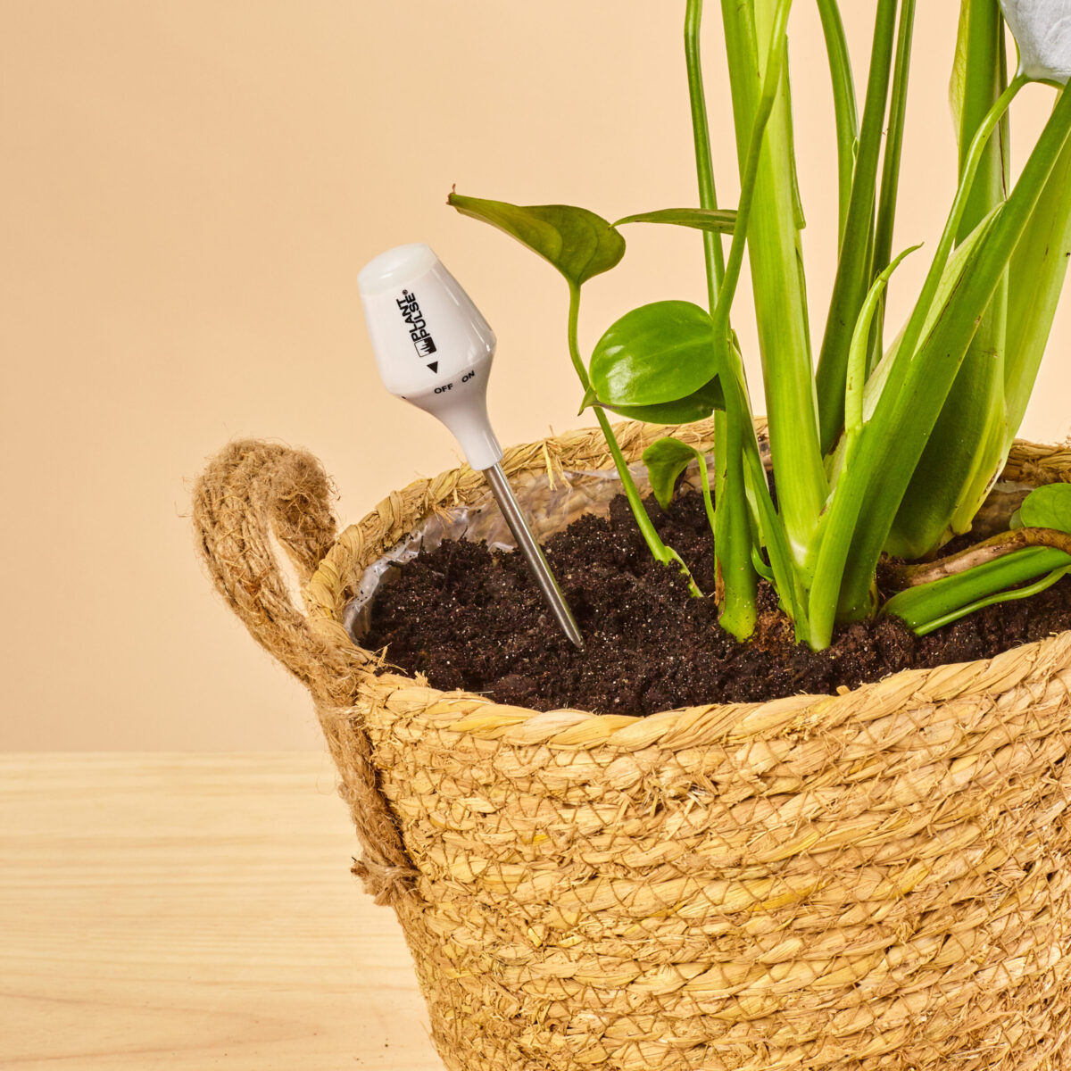 Plant Pulse Feuchtesensor  berwacht kontinuierlich die Bodenfeuchte