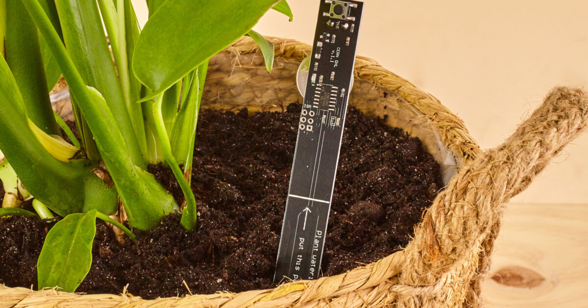 Suplong Testeur Humidité Plante - Hygrometre Plante Précis - Pour