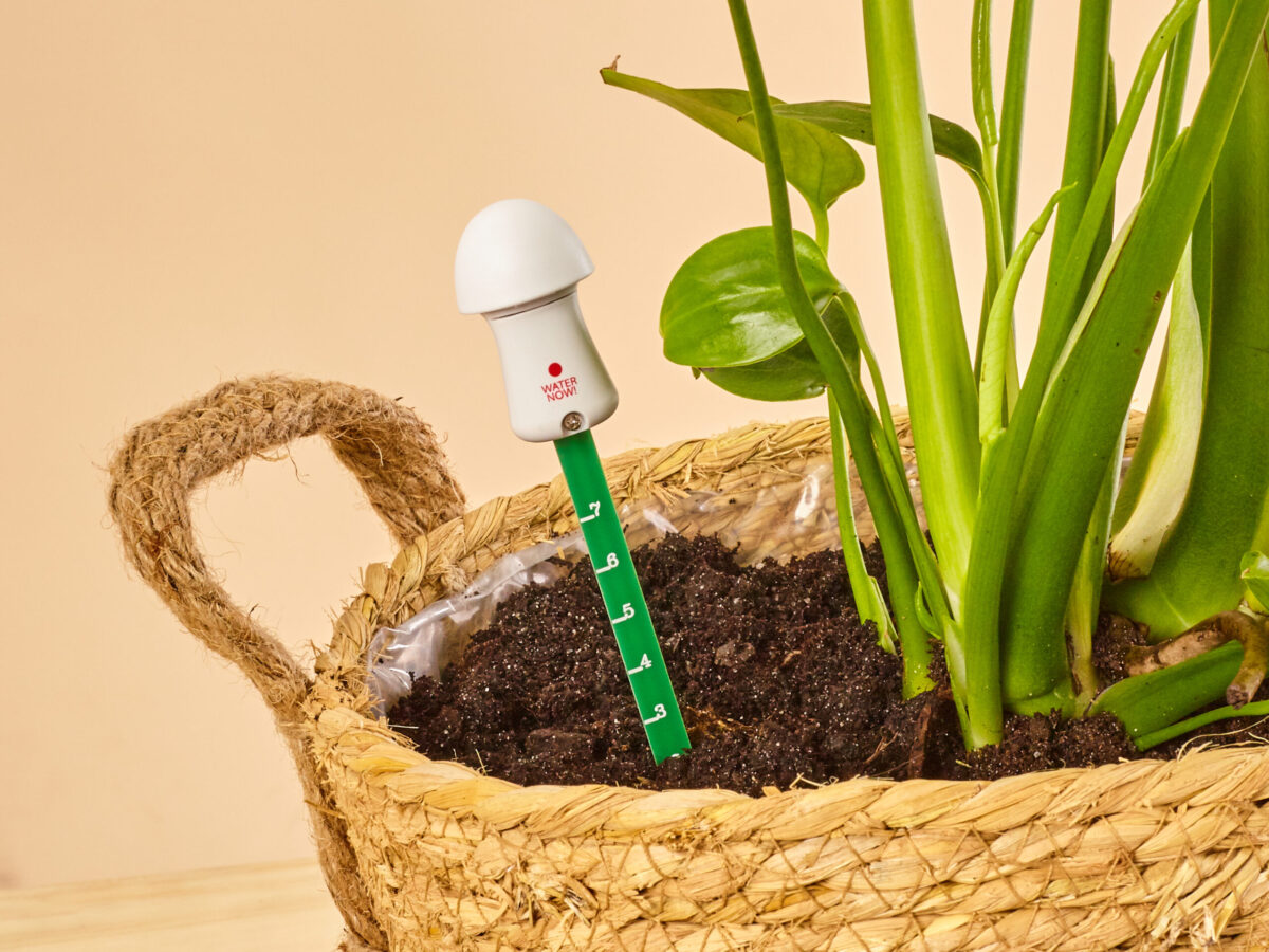 Guide to Smart Plant Sensors for Urban Container Gardening