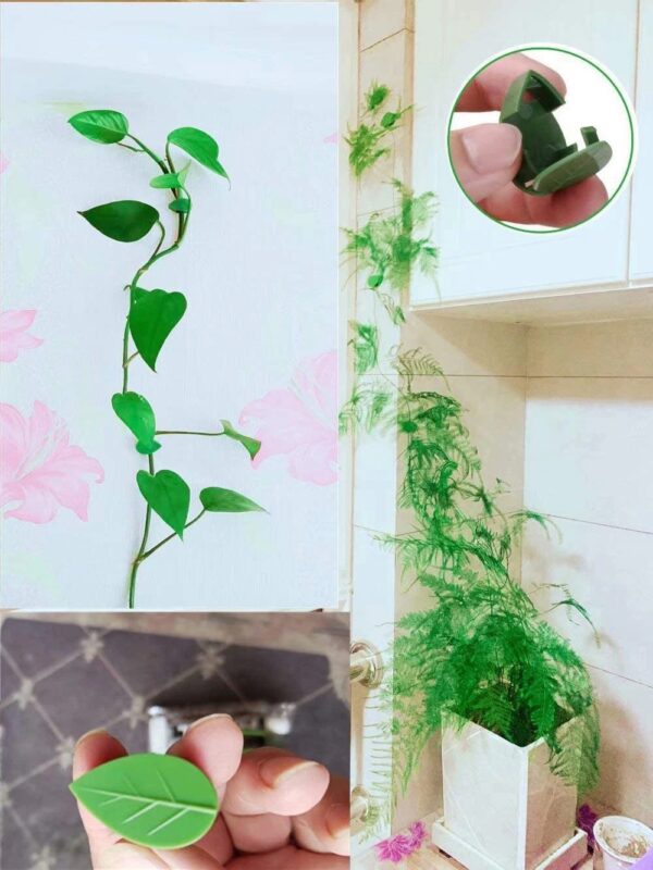 50 Supports Muraux Autocollants Pour Plantes Grimpantes - Clips Feuille Vert ABS - Jardinage Intérieur/extérieur