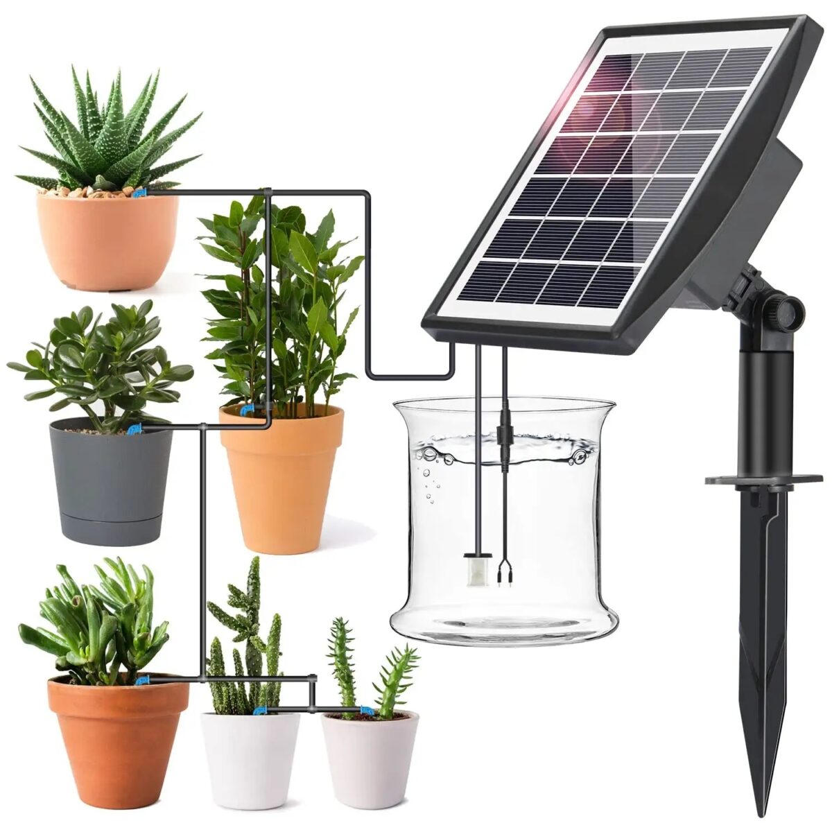 Solar-powered automatic irrigation system for 10 potted plants - Plant Care  Tools