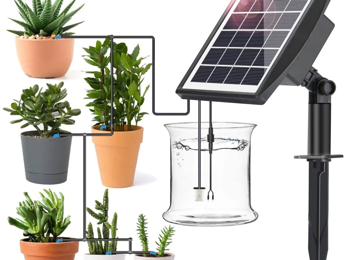 Lot De 6Pcs Bulbes D’Arrosage Automatique Dispositif D'irrigation