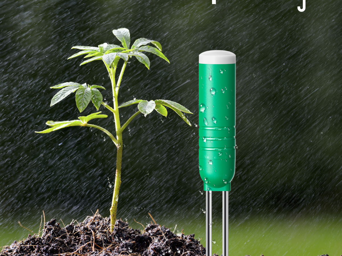 bamboo plants online 6ft Tall Potted Bamboo Tree main image 1