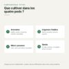 Que cultiver dans les quatre pods du potager d'intérieur Aperçu de ce que l'on cultive dans les quatre pods : aromates, légumes-feuilles, micro-pousses et semis