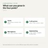 What to grow in the four pods of the smart indoor garden Overview of what grows in the four pods: herbs, leafy greens, microgreens and seed starting