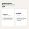 Hydroponik und Blumenerde im Vergleich im hybriden Zimmergewächshaus mit vier Pflanzfächern