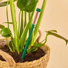 Vochtindicator 26cm - Seramis - Plant Care Tools